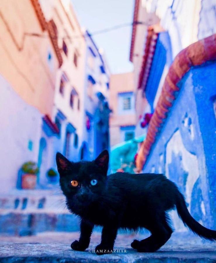 Mesk Elil Hotel Chefchaouen Exterior foto